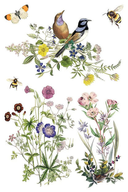 Flora Greca 8 x 12 transfer | birds and botanicals