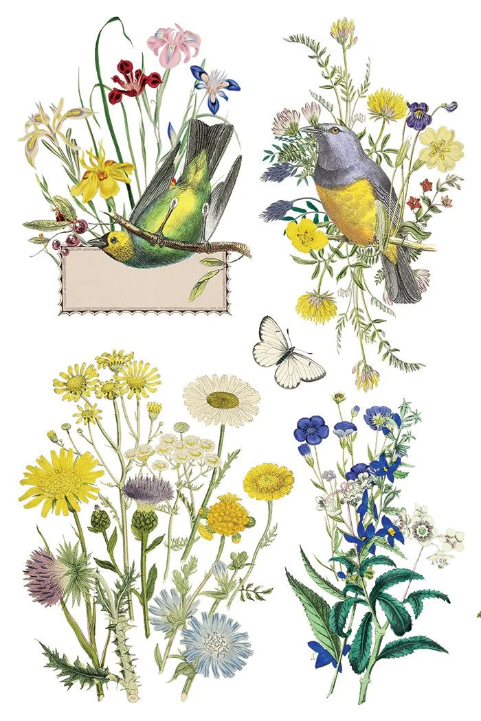 Flora Greca 8 x 12 transfer | birds and botanicals