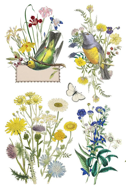 Flora Greca 8 x 12 transfer | birds and botanicals