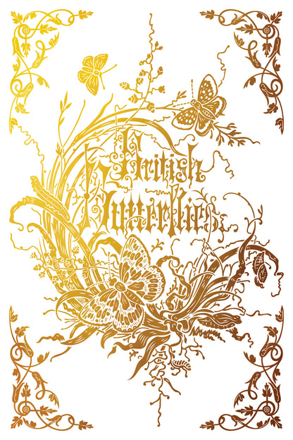 Athenaeum IOD Foil Transfer 8x12 Pad