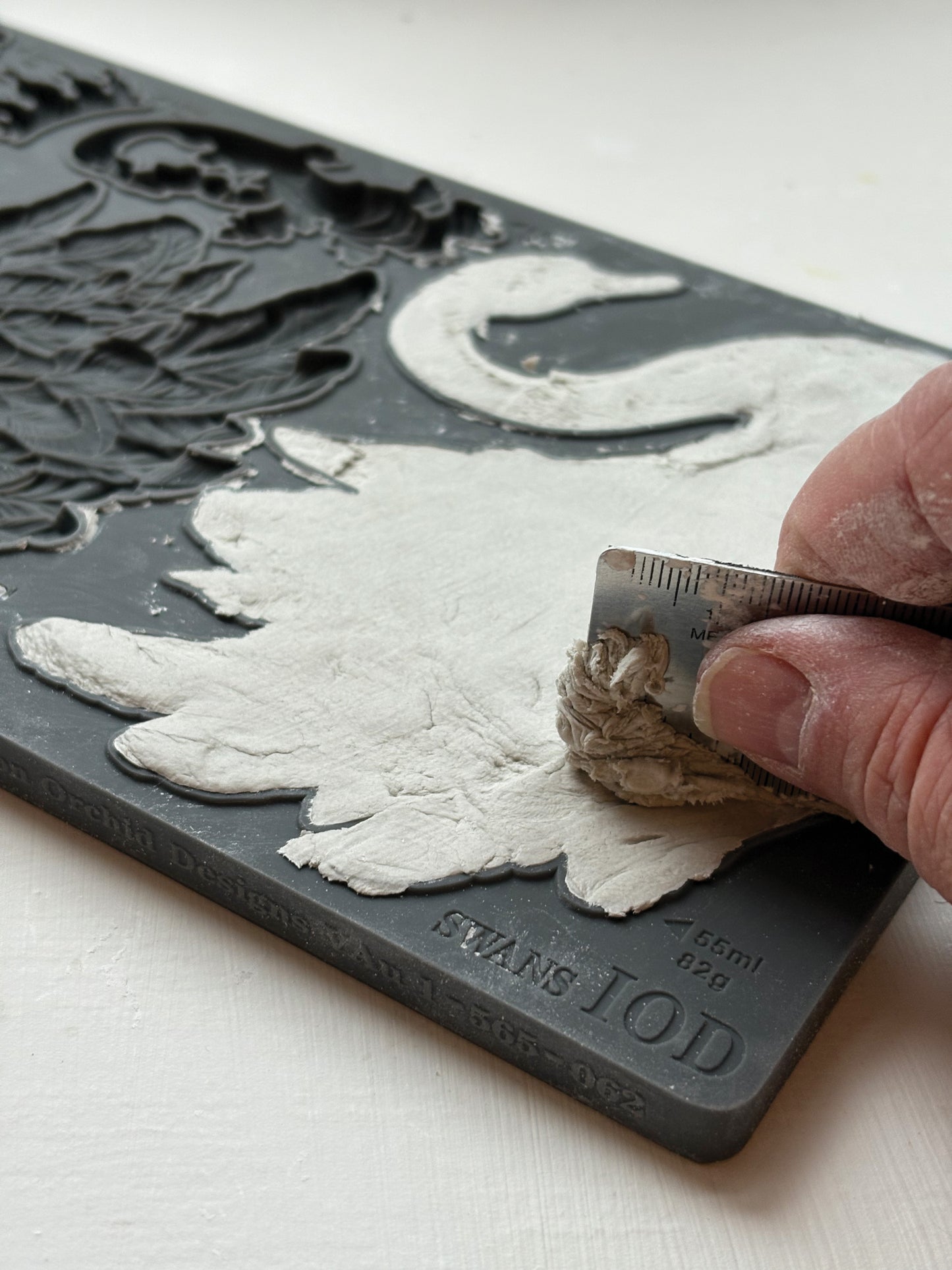 Swans 6x10 IOD Mould