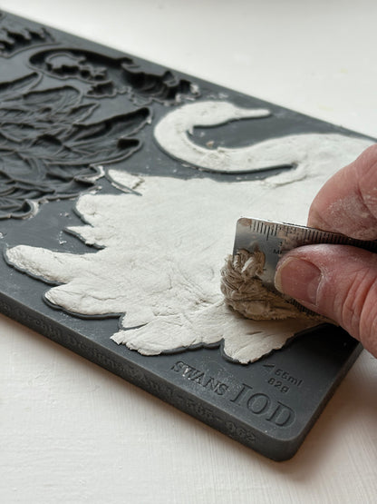 Swans 6x10 IOD Mould