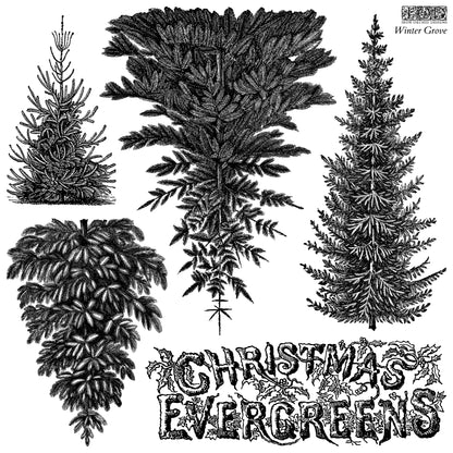 Entire IOD Winter Collection - 16 pieces