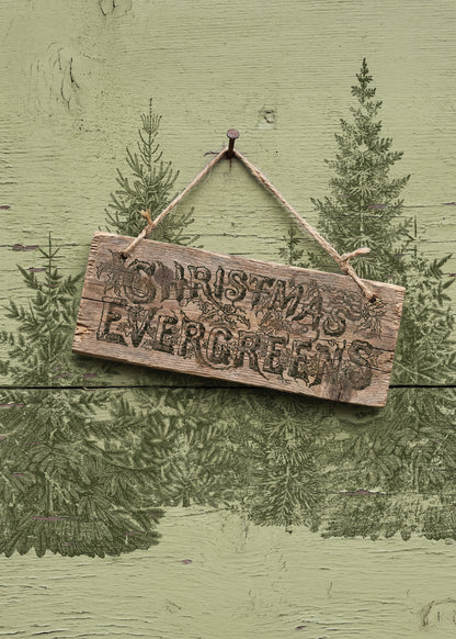 Winter Grove I Christmas Tree 12x12 IOD Stamp Holiday Collection
