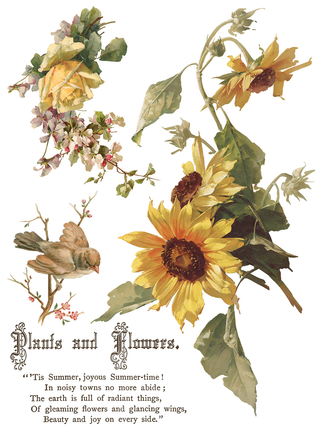 Flowers by the Poets poem IOD Transfer 12x16 Pad
