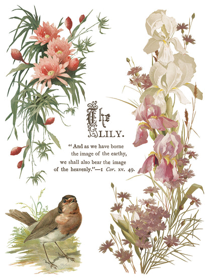 Flowers by the Poets poem IOD Transfer 12x16 Pad