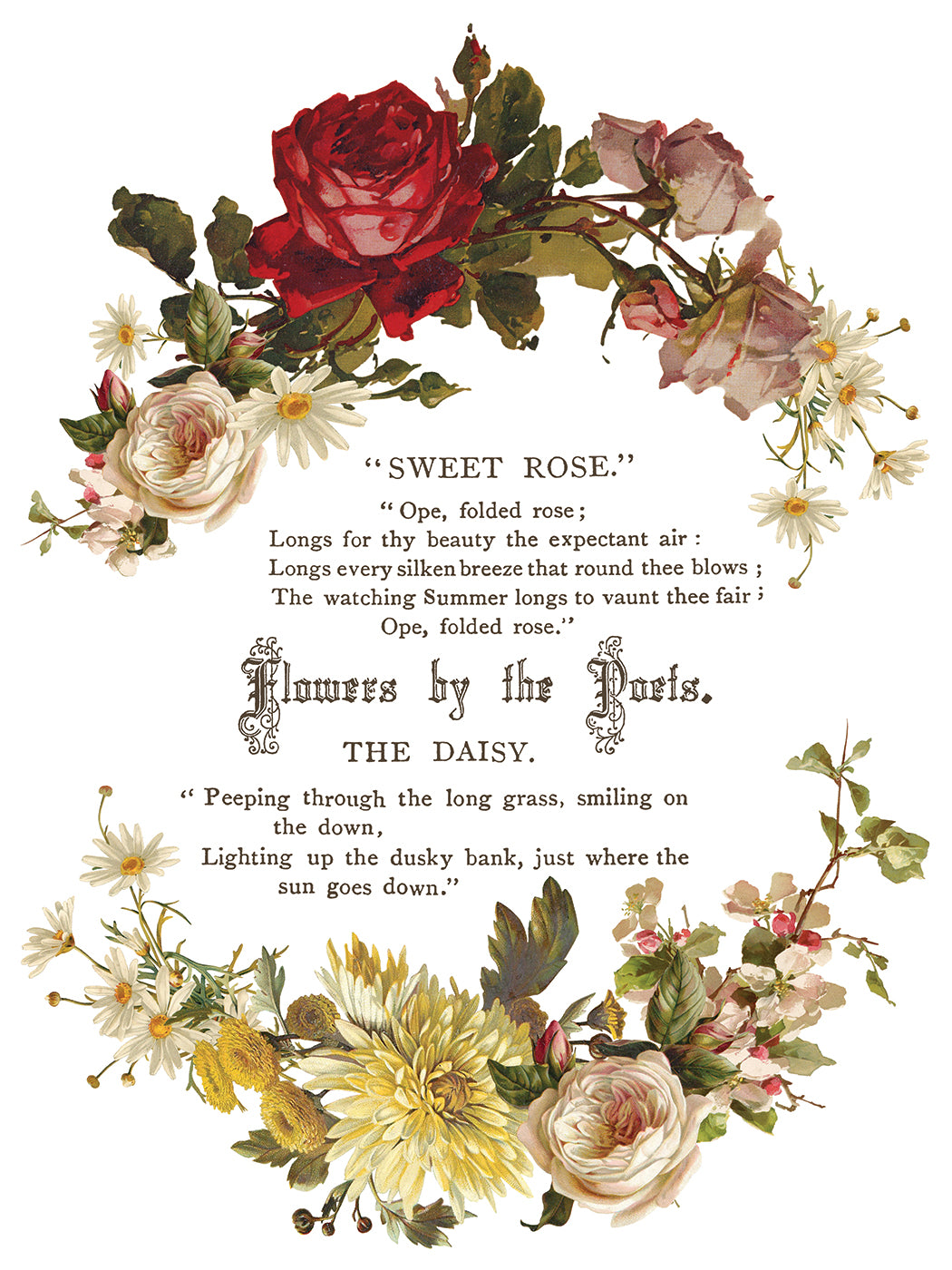 Flowers by the Poets poem IOD Transfer 12x16 Pad