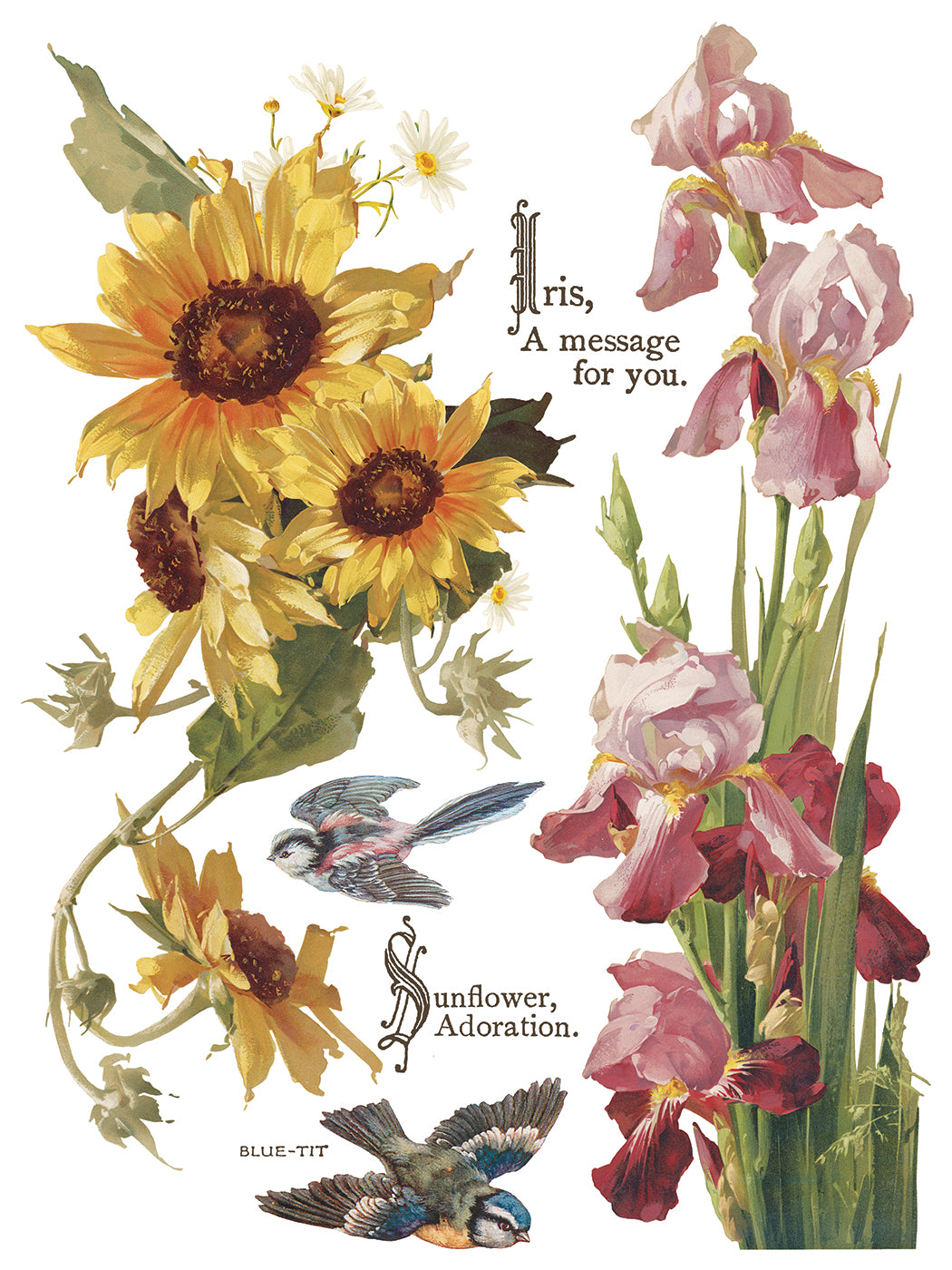 Flowers by the Poets poem IOD Transfer 12x16 Pad
