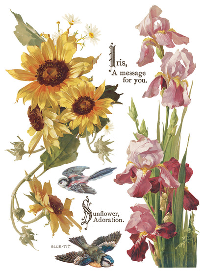 Flowers by the Poets poem IOD Transfer 12x16 Pad