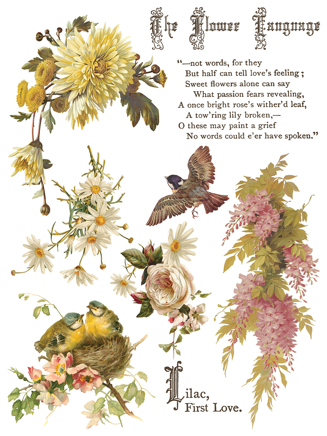 Flowers by the Poets poem IOD Transfer 12x16 Pad