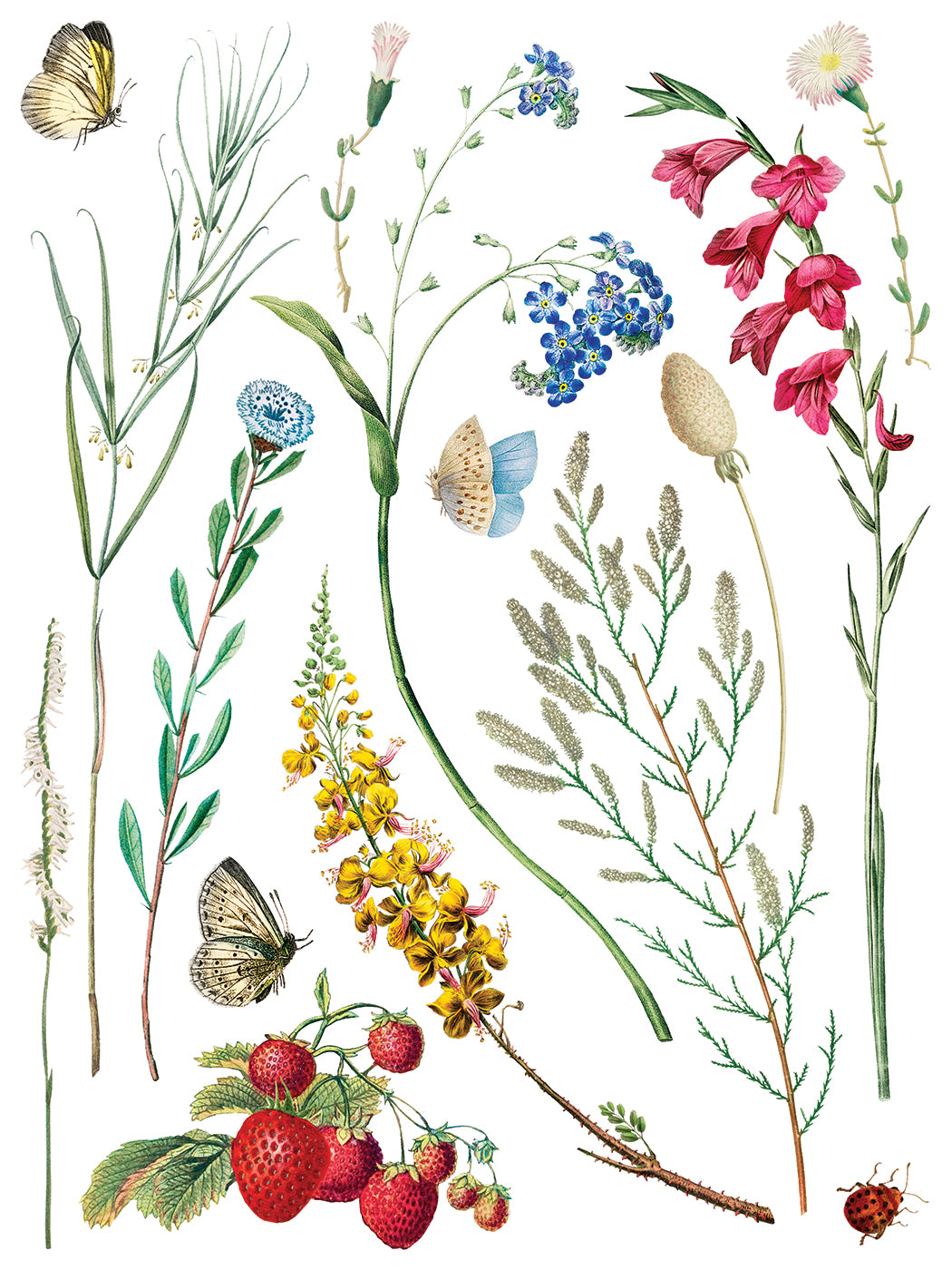 Marché des Fleurs flower market bouqet IOD Transfer 12x16 Pad