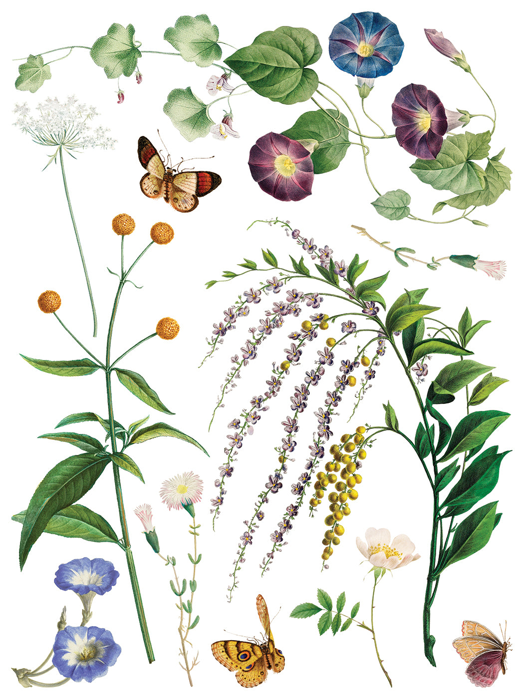 Marché des Fleurs flower market bouqet IOD Transfer 12x16 Pad