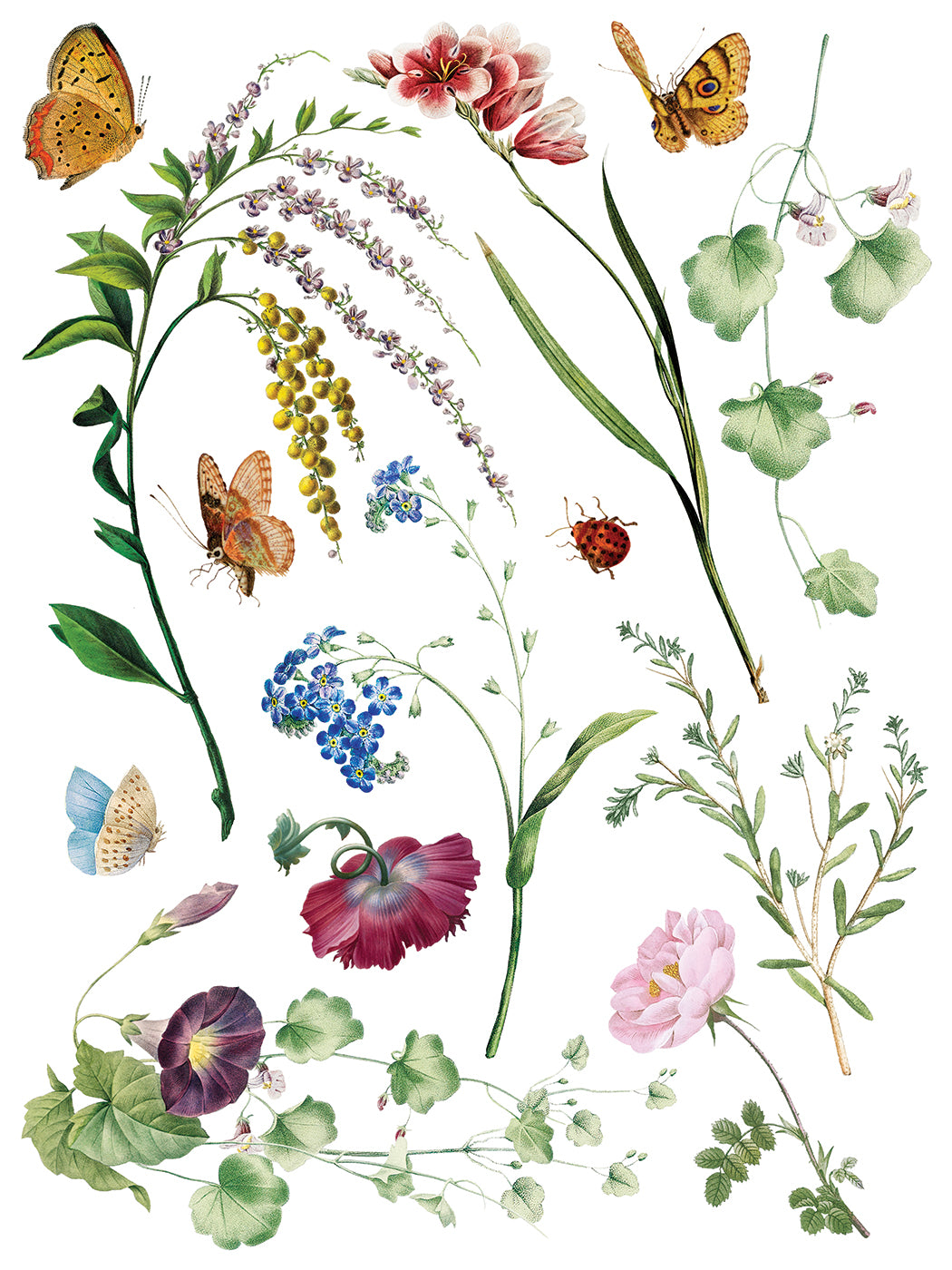 Marché des Fleurs flower market bouqet IOD Transfer 12x16 Pad