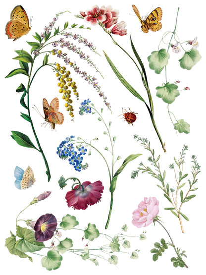 Marché des Fleurs flower market bouqet IOD Transfer 12x16 Pad