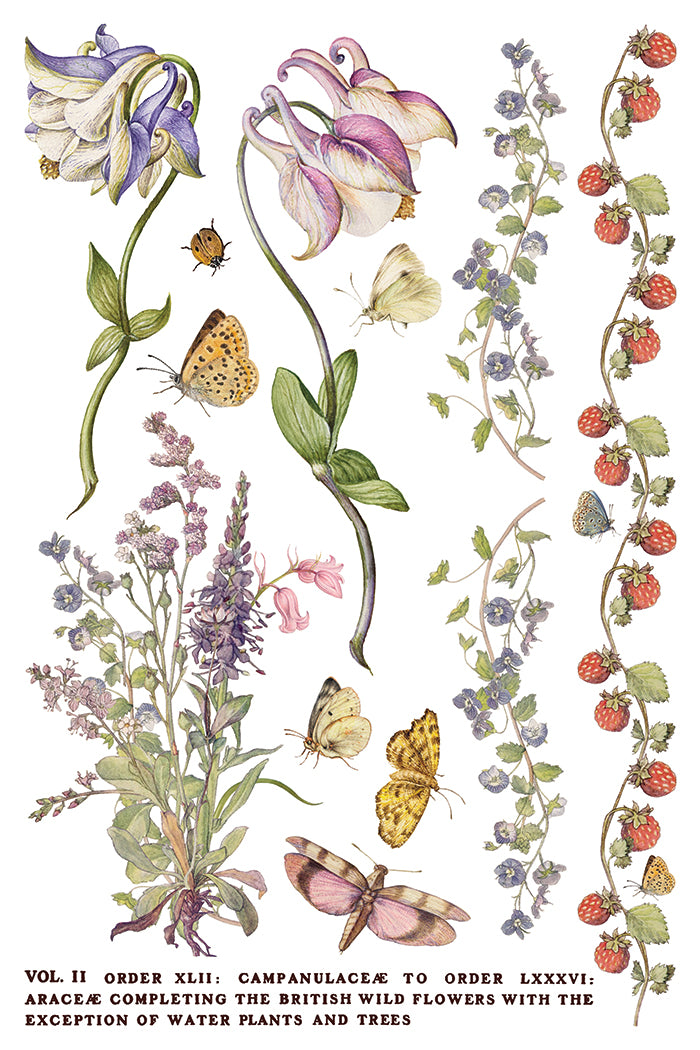 Primrose Isle floral IOD Transfer 8x12 Pad - Wild Flowers