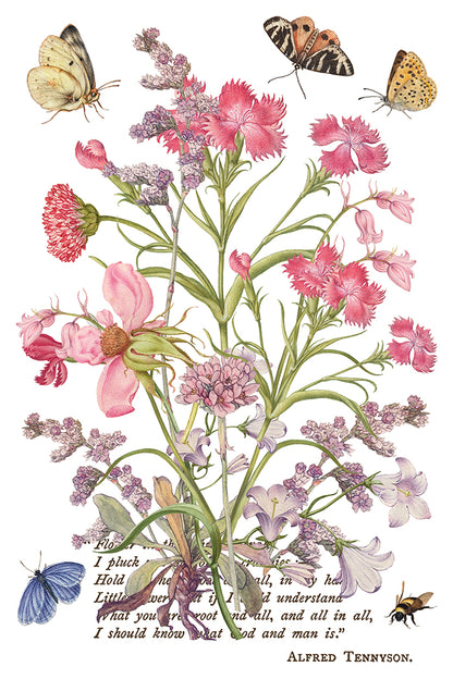 Primrose Isle floral IOD Transfer 8x12 Pad - Wild Flowers