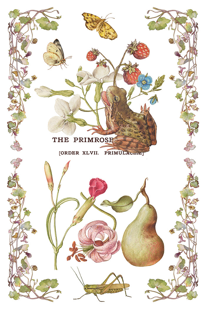 Primrose Isle floral IOD Transfer 8x12 Pad - Wild Flowers