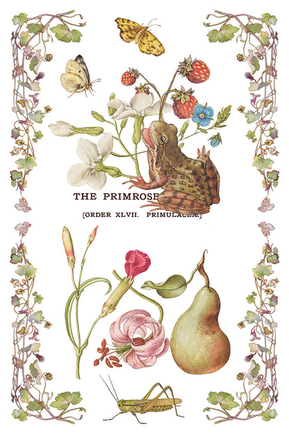 Primrose Isle floral IOD Transfer 8x12 Pad - Wild Flowers