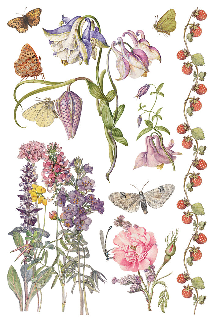 Primrose Isle floral IOD Transfer 8x12 Pad - Wild Flowers