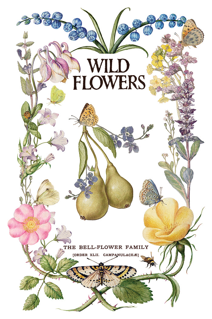 Primrose Isle floral IOD Transfer 8x12 Pad - Wild Flowers