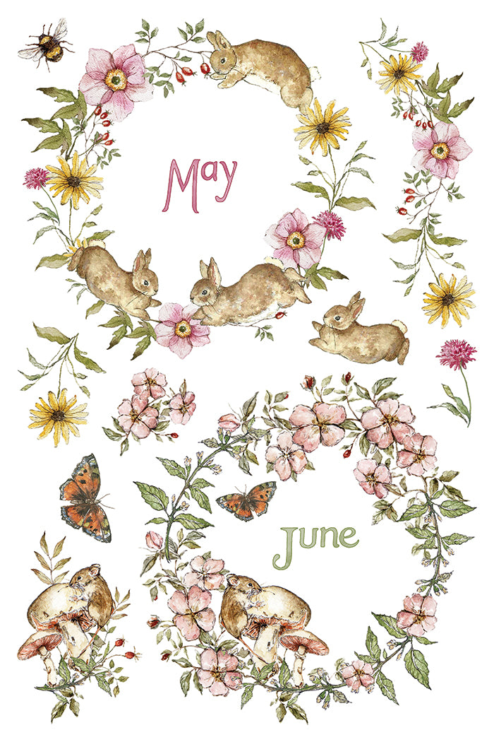 The Bramblewood Diaries IOD Transfer Pad 8x12 | Woodland Creatures & Botanicals | Seasonal Home Decor | Junk Journal Ephemera | DIY Décor