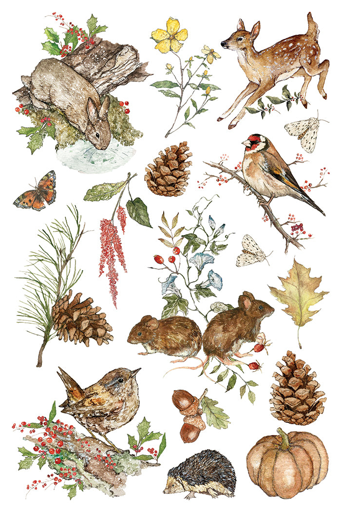 The Bramblewood Diaries IOD Transfer Pad 8x12 | Woodland Creatures & Botanicals | Seasonal Home Decor | Junk Journal Ephemera | DIY Décor