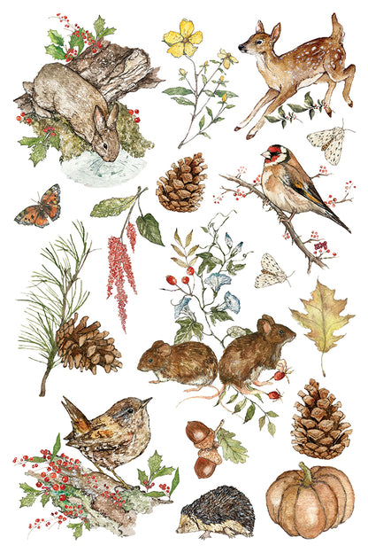 The Bramblewood Diaries IOD Transfer Pad 8x12 | Woodland Creatures & Botanicals | Seasonal Home Decor | Junk Journal Ephemera | DIY Décor