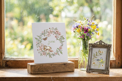 The Bramblewood Diaries IOD Transfer Pad 8x12 | Woodland Creatures & Botanicals | Seasonal Home Decor | Junk Journal Ephemera | DIY Décor