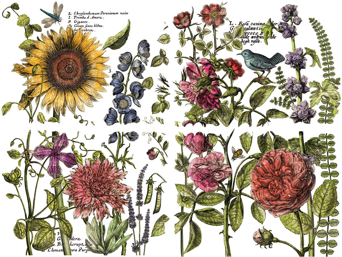 BOTANIST’S JOURNAL IOD TRANSFER 12×16 PAD