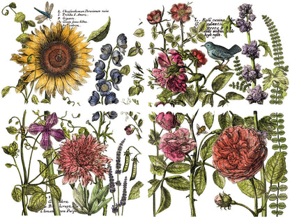 BOTANIST’S JOURNAL IOD TRANSFER 12×16 PAD