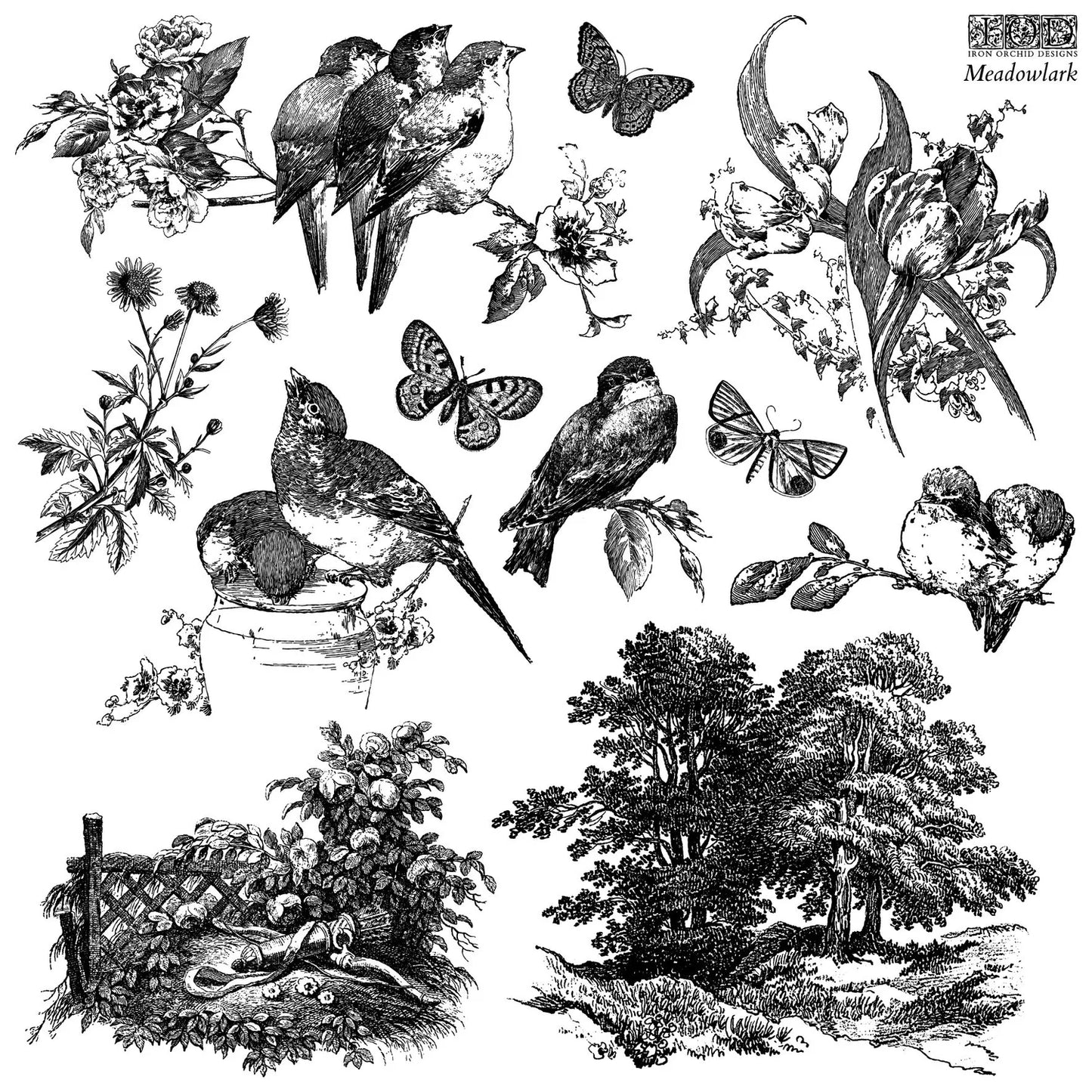 Meadowlark 12 x 12 IOD French toile bird stamp