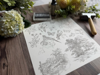 Meadowlark 12 x 12 IOD French toile bird stamp
