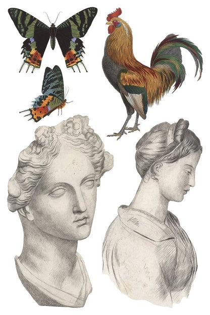Saint Ouen 8 x 12 transfer | statuary, botanicals, artwork and ephemera