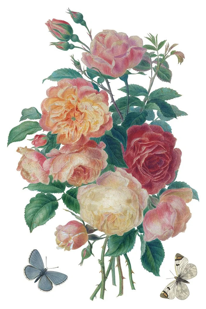 Saint Ouen 8 x 12 transfer | statuary, botanicals, artwork and ephemera