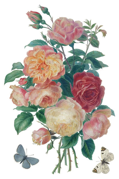 Saint Ouen 8 x 12 transfer | statuary, botanicals, artwork and ephemera