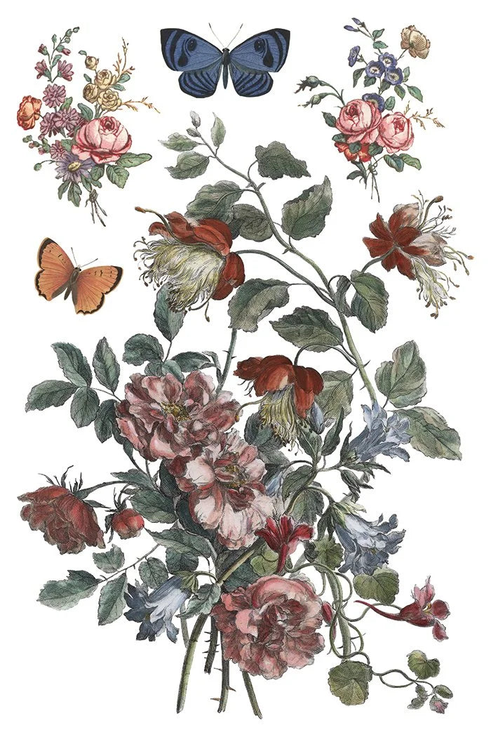 Saint Ouen 8 x 12 transfer | statuary, botanicals, artwork and ephemera