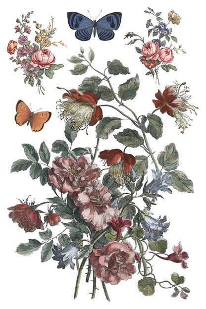 Saint Ouen 8 x 12 transfer | statuary, botanicals, artwork and ephemera