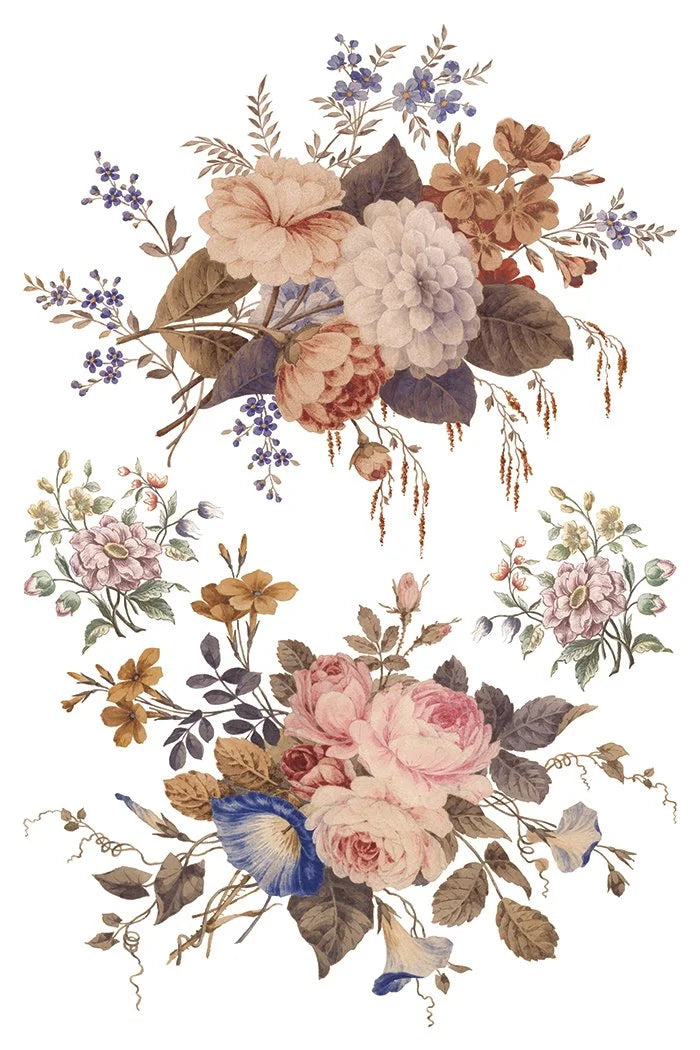 Saint Ouen 8 x 12 transfer | statuary, botanicals, artwork and ephemera