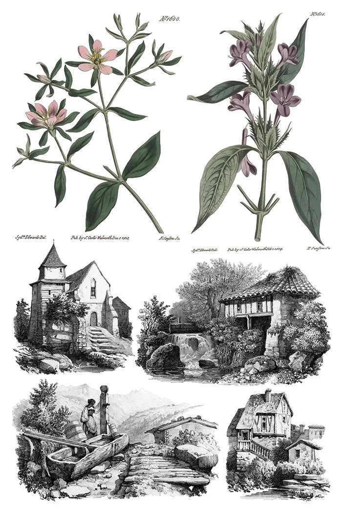 Saint Ouen 8 x 12 transfer | statuary, botanicals, artwork and ephemera