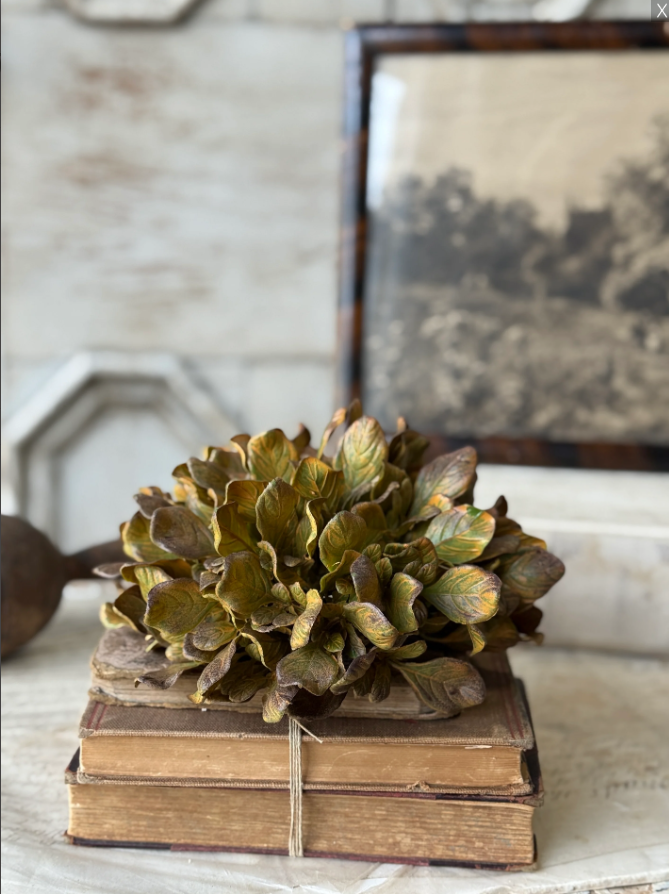 Sepia Groves Half Sphere | 7.5"