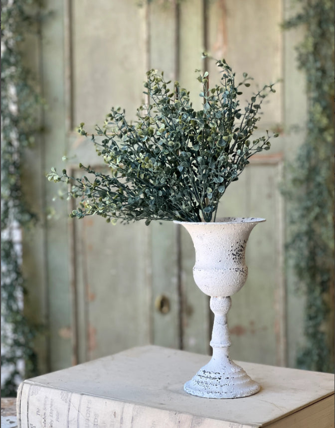 Baby's Twilight Bush | 14"