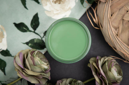 Kudzu- Dixie Belle Chalk Mineral Paint