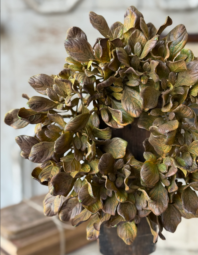 Sepia Groves Candle Ring | wreath | 9”
