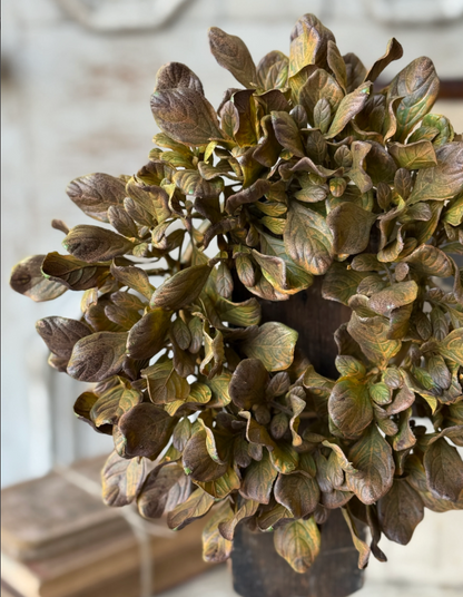 Sepia Groves Candle Ring | wreath | 9”