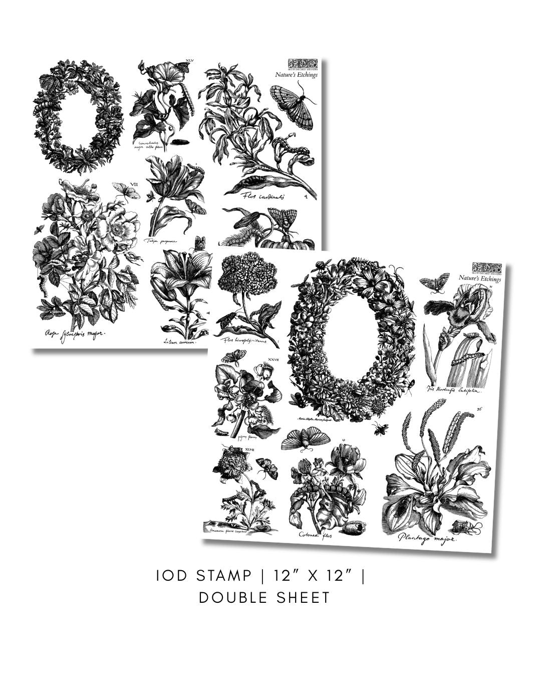 Nature's Etchings 12x12 IOD Stamp 2 Sheets