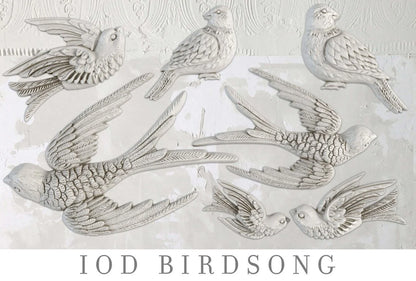 BIRDSONG 6X10 IOD MOULD