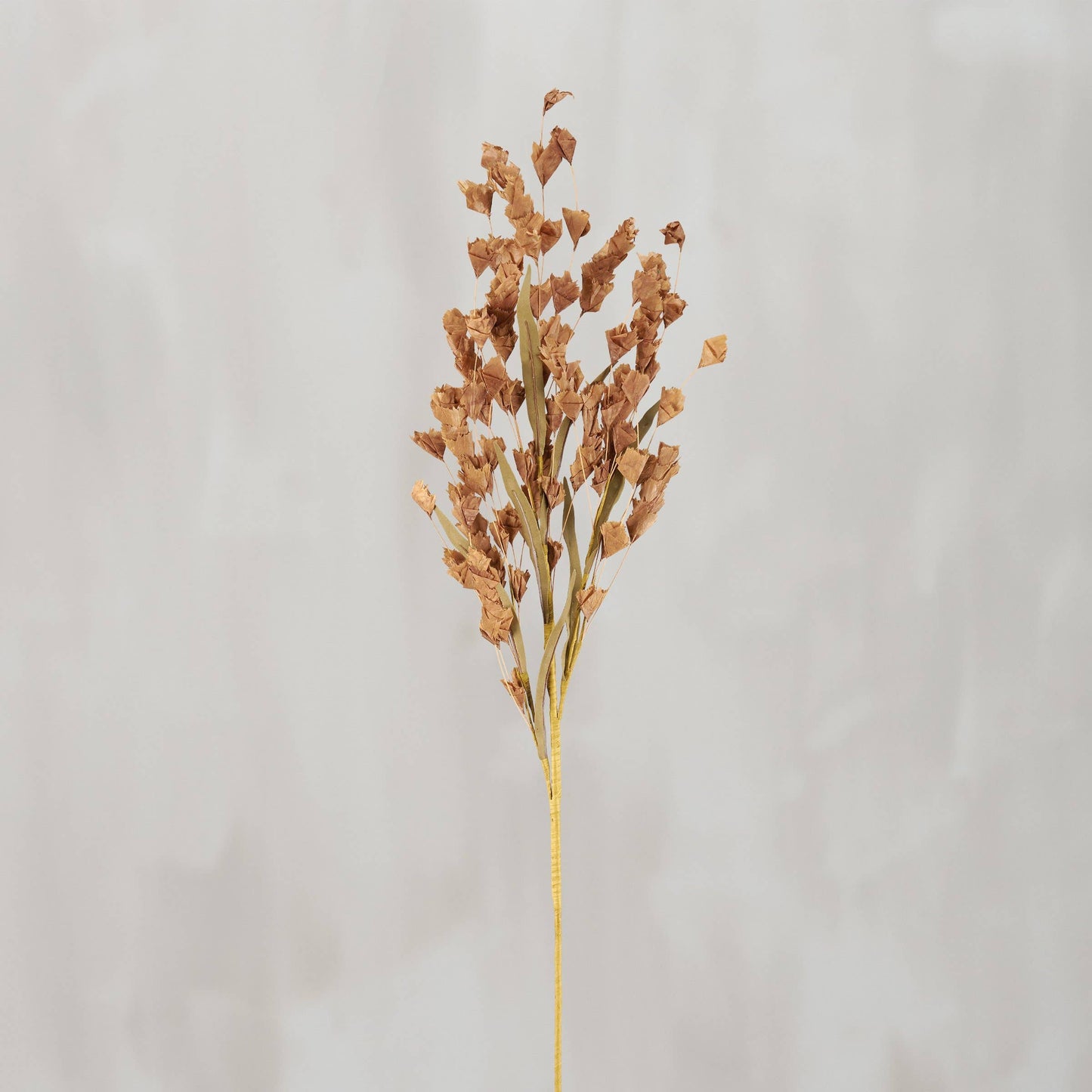 34" Brown Buds Floral Pick