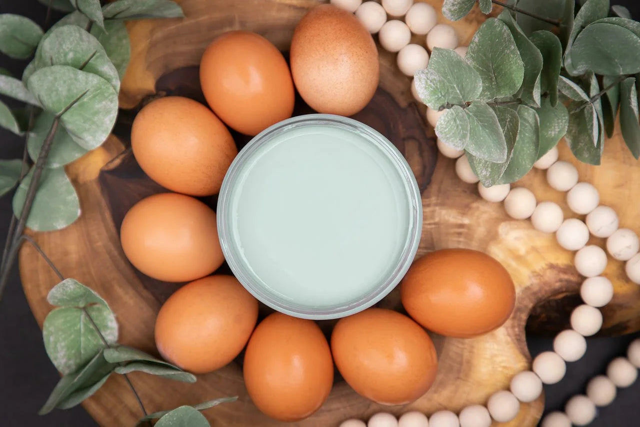 Vintage Duck Egg- Dixie Belle Chalk Mineral Paint