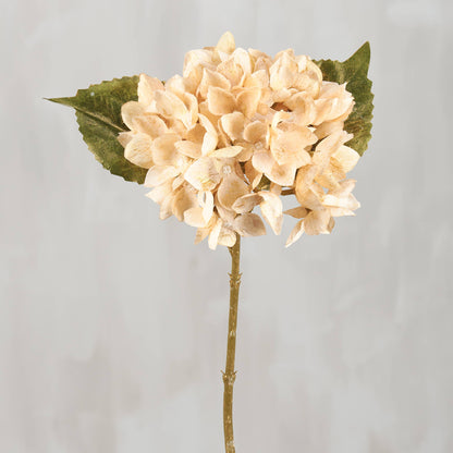 13" Cream & gold shimmer Hydrangea Floral Pick