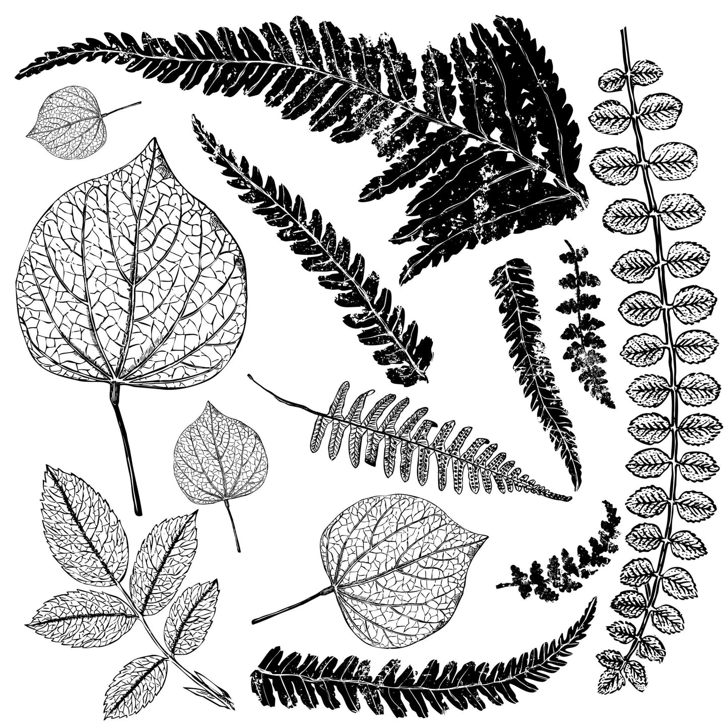 FRONDS 12×12 DECOR STAMP